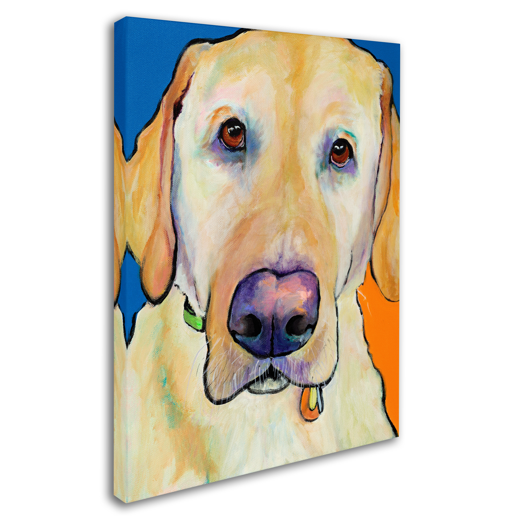 Trademark Fine Art 'Spencer copy' Canvas Art by Pat Saunders-White