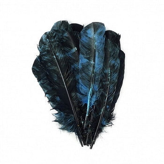 Zucker 25 pc Tie Dye Turkey Feathers Craft Supplies, Headdress / Dream catcher - Blue and Black - Left Curving 10-12 inch