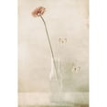 thumbnail image 3 of Devos, Delphine 11x14 Black Modern Framed Museum Art Print Titled - Miss Daisy, 3 of 5