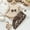 Beige, variant on Baby Girl Clothes 12 18 Months Toddler Baby Girl Clothes Fall Winter Outfits Infant Ruffle Long Sleeve Shirts Pants Cute Girls Clothing Set