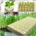 thumbnail image 6 of HXRH Rockwool Cubes,1x1In Durable Stonewool Starter Grow Cubes for Plant Propagation,Portable Rockwool Tool for Cuttings,Cloning Plants(50Pack), 6 of 6
