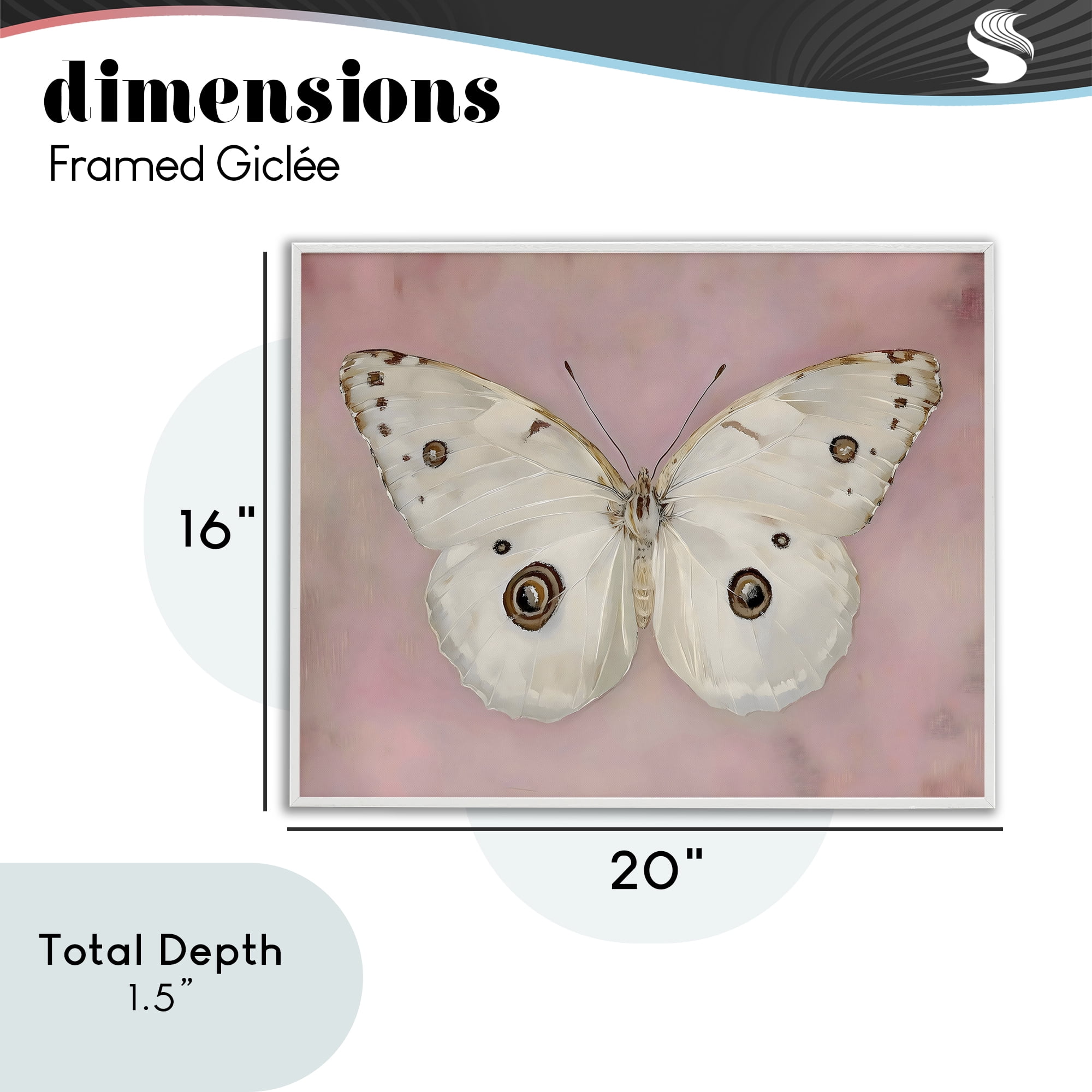 Stupell Industries Gossamer Butterfly on Blush Background White Framed Giclee Art, design by Arlington Prints