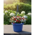 thumbnail image 3 of Austin Planter MHAPSea Blue Pack of 5, Plastic Flower Pot, seedlings Planter, Nursery Planter, Colorful Flower Planter, Seed Starting Pot with Hanger, 3 of 9