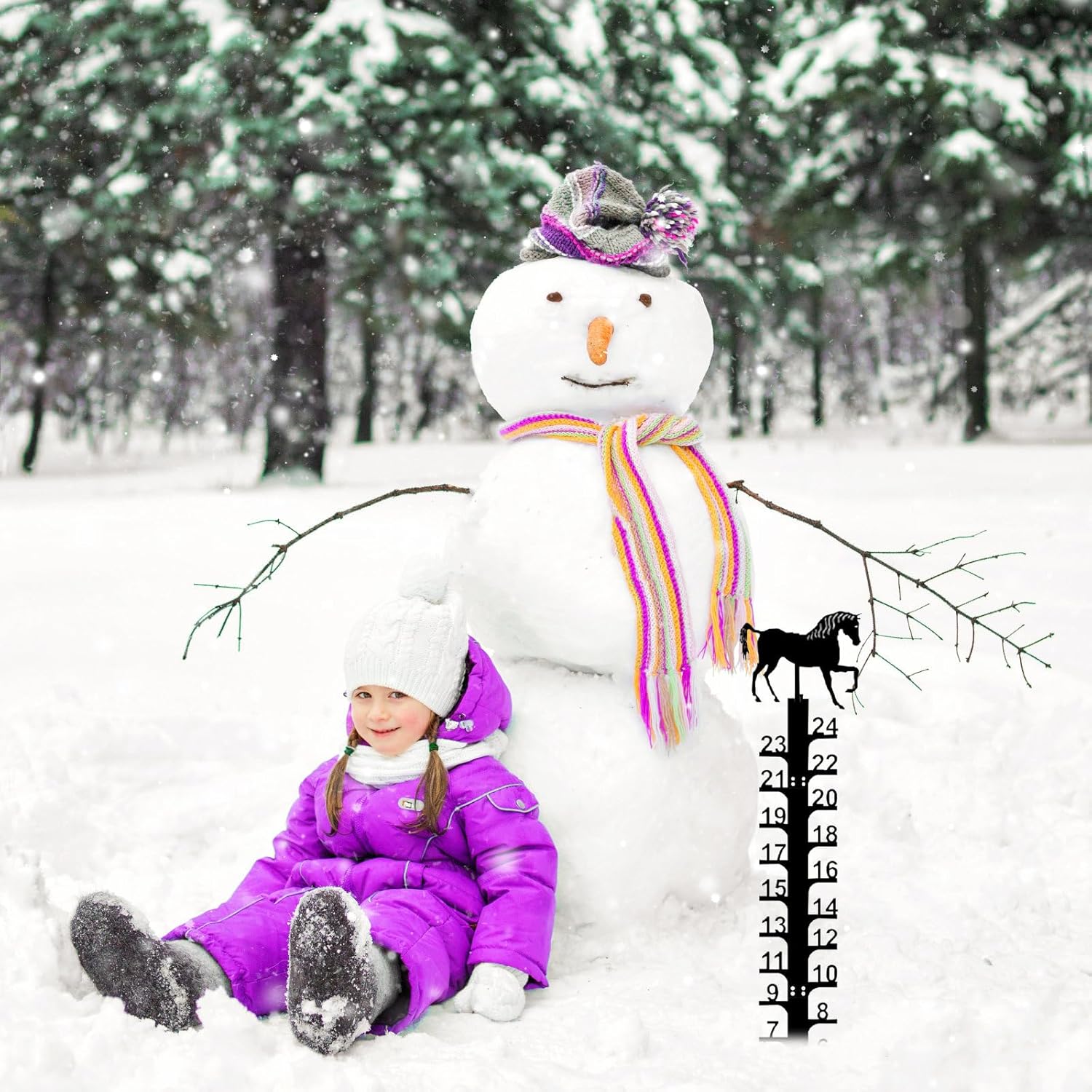 Snow Measuring Stick, 24inch Snow Gauge, Outdoor Measuring Gauge, Metal Detachable Snow Measuring Stick, Rain Gauge Garden Stakes for Yard, Lawn & Garden, Easy to Read