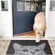 thumbnail image 4 of Felpudo para puerta delantera de gato, para interiores y exteriores, felpudo absorbente de barro, alfombra de entrada para patio exterior/entrada interior, alfombrillas antideslizantes con respaldo, 4 of 8