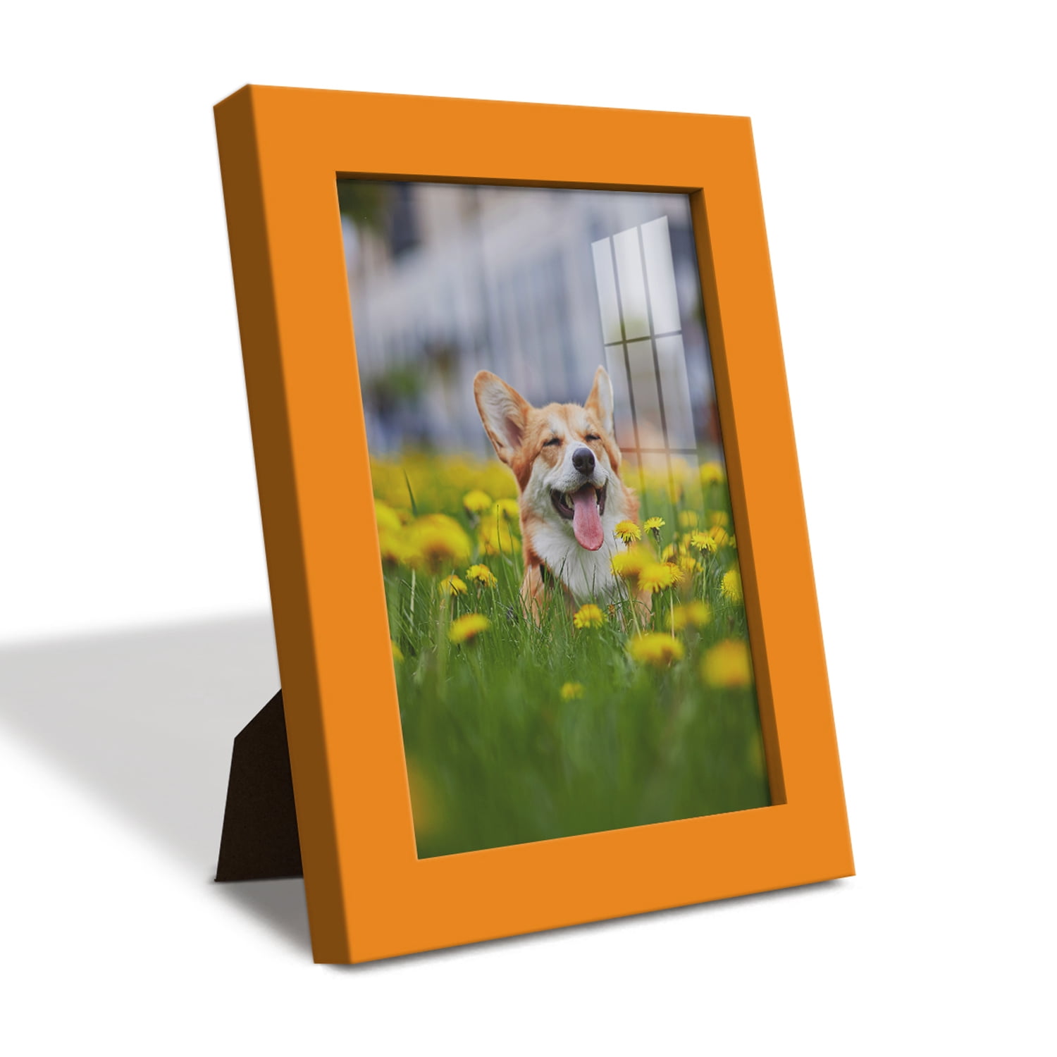 Modern 5 in. x 7 in. Orange Picture Frame (Set of 2)