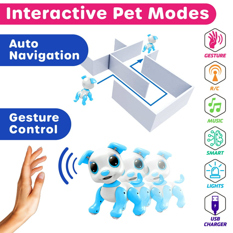 Formode Passende udkast Power Your Fun Remote Controlled Electronic Robot Pet Dog (Blue) -  Walmart.com