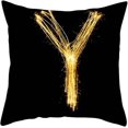 thumbnail image 1 of Fundas de almohada de terciopelo suave de 18 x 18, serie de 26 letras inglesas, fundas de almohada cuadradas, funda de almohada con cierre de cremallera, protector de almohada negro, 1 of 5