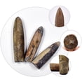 thumbnail image 4 of Shisuyan 10pcs Belemnite Adornment Desktop Ornament Classroom Teaching Supplies Specimen, 4 of 8