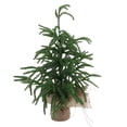 thumbnail image 2 of Mesa De PET Artificial De Mini árbol De Pino De Navidad Verde, 2 of 7