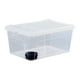 thumbnail image 2 of Caja de Alimentación para Reptiles, Terrario Transparente, Jaula de Hábitat, Caja de Transporte de Cría con Cuenco de Alimentación para Ranas, Ranas a 27x19x12cm, 2 of 10