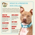 thumbnail image 5 of Country Brook Petz® Premium Oh My Dog Dog Collar, Large, 5 of 7