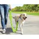 thumbnail image 1 of Juego de correa reflectante para perros Fine Pet 12010697, 1 of 1