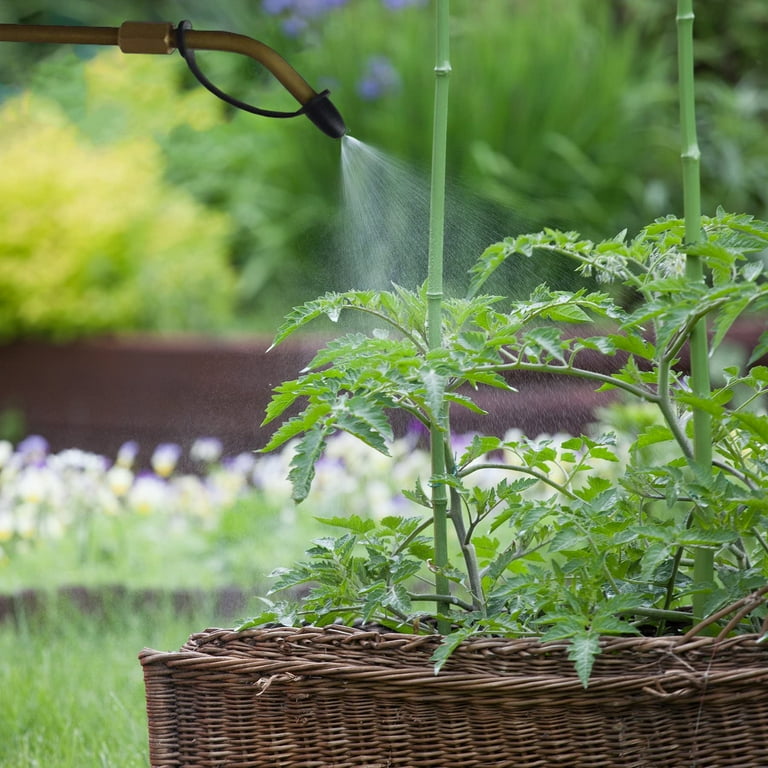 Hand Held Duster Plant