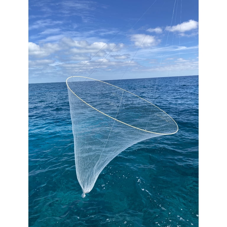 Ballyhoo Bait Net - Collapsible Hoop Net - Folds For Easy Storage