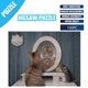 thumbnail image 1 of 100 piezas de rompecabezas de desarrollo intelectual para adultos y niños HolidayGift Baffler 1250 Propuesta Cayman 30s Farsi Countries Aegean 111000 1950s 590 Swear Contentment 150xl 1960s, 1 of 5