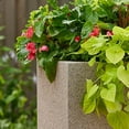 thumbnail image 5 of PolyStone Kensington Tall Modern Outdoor/Indoor Column Planter, 16” L x 16" W x 36" H, Lightweight, Heavy Duty, Weather Resistant, Polymer Finish, Commercial and Residential - Sandstone Granite, 5 of 5