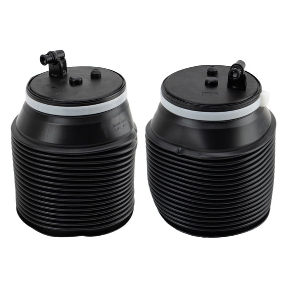 TRQ Rear Air Spring Set Fits 2010-2021 Lexus GX460 PAA72611