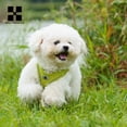 thumbnail image 6 of Dog Harness Leash Set for Small Medium Dog Adjustable Reflective Puppy Cat Harness pet Vest Chihuahua Dachshund Outdoor Walking, 6 of 9