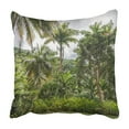 thumbnail image 1 of ABPHQTO Funda de almohada Forest in Flower Forest Botanical Gardens Throw Pillow Cover Case 40x40 cm, 1 of 2