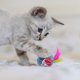 thumbnail image 4 of Juguete del gato del animal doméstico divertido de la jaula de los ratones del juego interactivo del juguete del gato peludo, 4 of 8