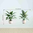 thumbnail image 2 of Peel & Stick Vinyl Wall Sticker | Green Potted Plant Wall Décor | Botanical Self Adhesive Mural for Living Room & Kitchen | Size 91 cm by 45 cm, 2 of 8