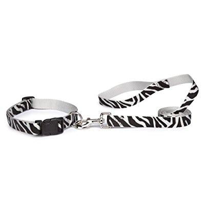 east side collection animal print dog leash, 6-feet x 1-inch lead, zebra