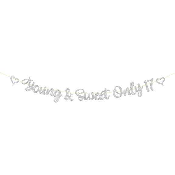 Young & Sweet Only 17 Banner, Girls 17th Birthday Party Banner, Cheers to 17 Years/Happy 17th Birthday Sign, Seventeen Years Old Birthday Party Decoration Supplies
