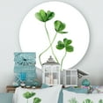 thumbnail image 1 of Designart - Field Plant Detail Clover - Farmhouse Metal Circle Wall Art, 1 of 5