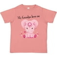 thumbnail image 3 of Inktastic Aditi My Grandpa loves me Pink Elephant beautiful Girls Toddler T-Shirt, 3 of 5
