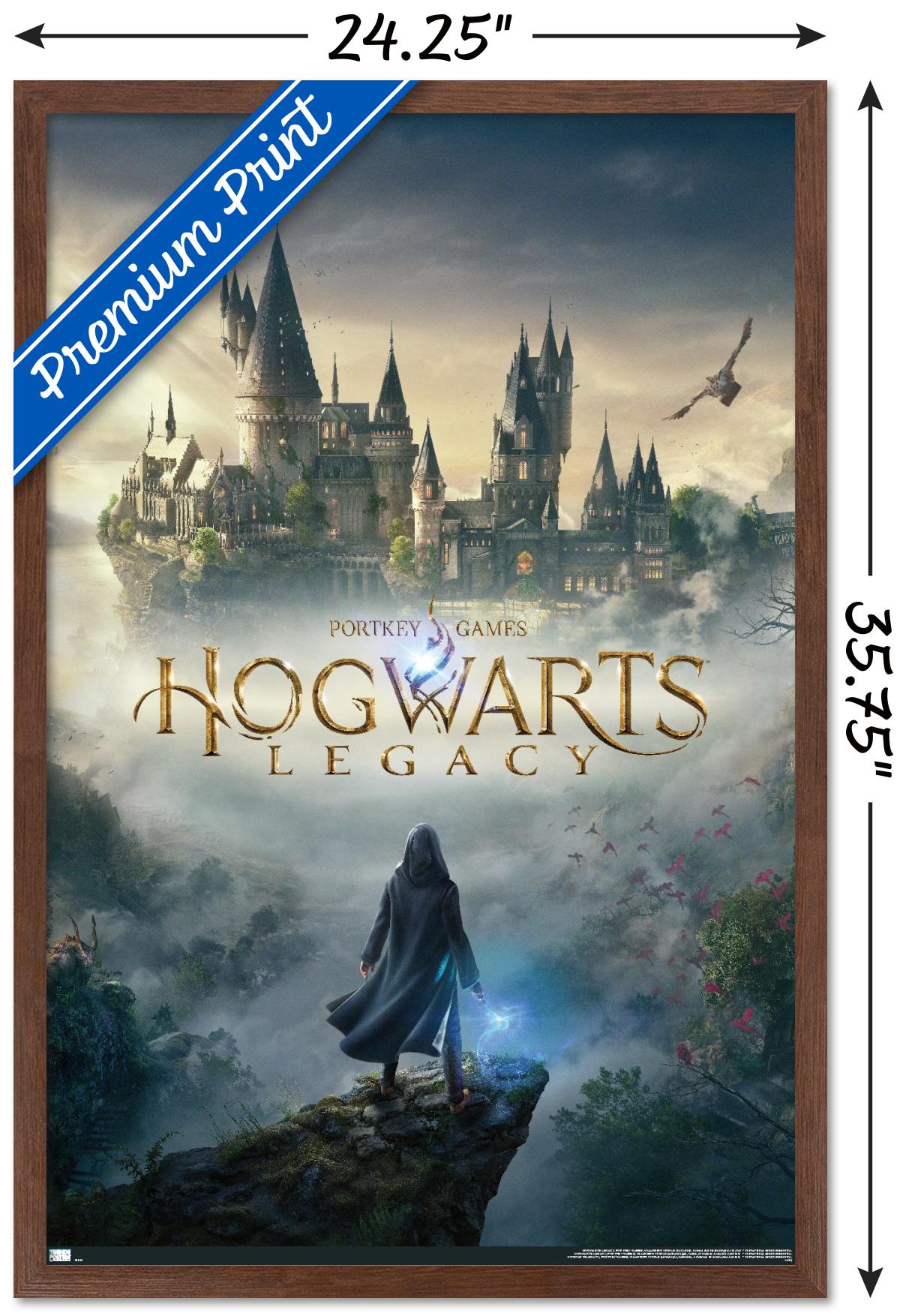 Hogwarts Legacy - Key Art Wall Poster, 22.375" x 34" Framed