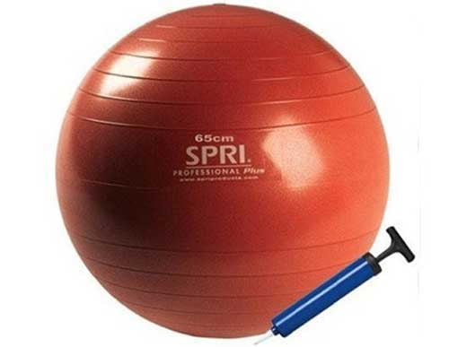 spri 65cm exercise ball