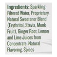 thumbnail image 3 of Reeds Zero Sugar Extra Craft Ginger Beer, 12 Fluid Ounce - 4 count per pack -- 6 packs per Case., 3 of 6
