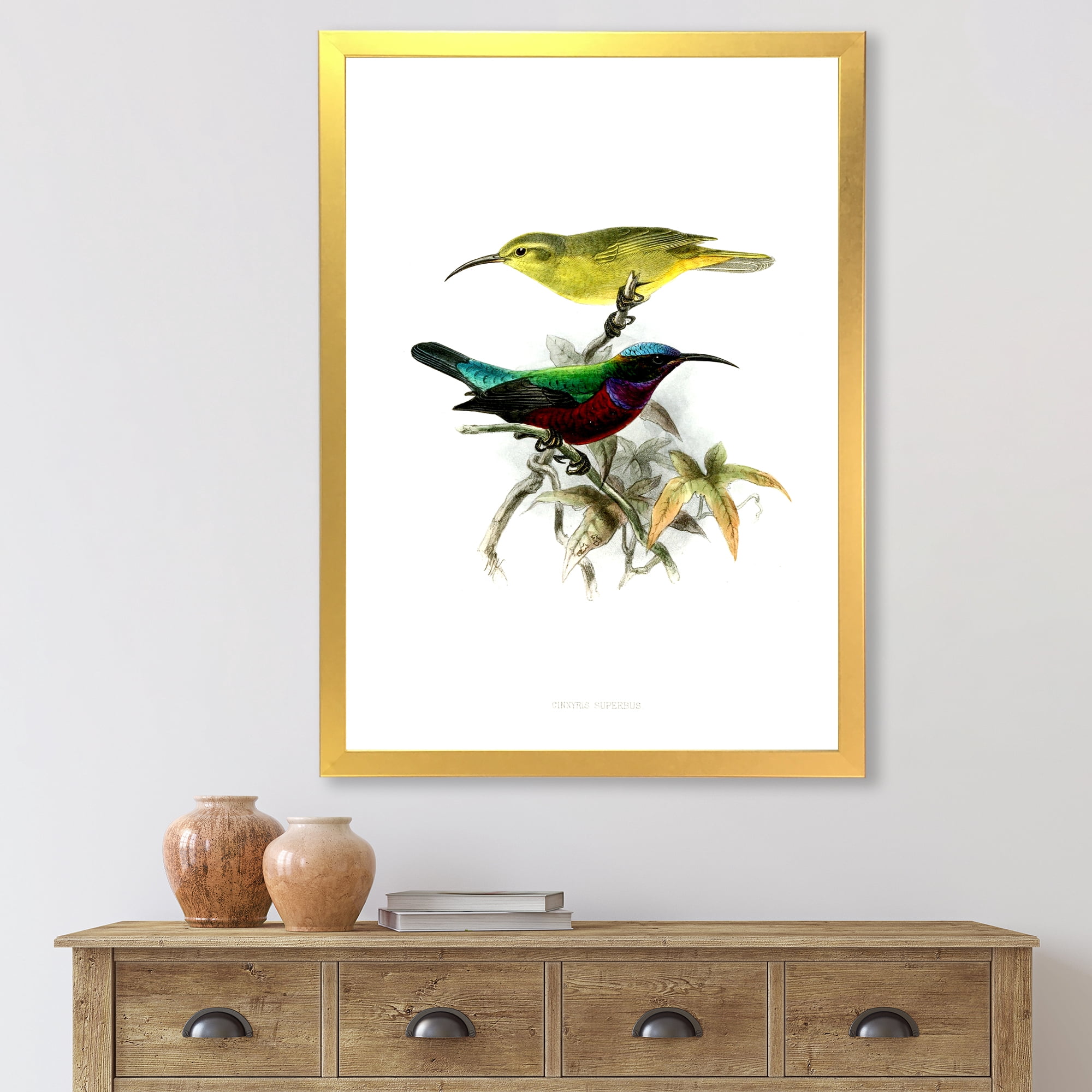 Designart 'Ancient Australian Birds XV' Traditional Framed Art Print