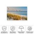 thumbnail image 3 of Dennis Frates 'Sea Oat Grass 1' Outdoor Canvas, 3 of 3
