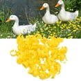 thumbnail image 3 of Duck Leg Bands Clips, Chicken Ankle Rings Self Writing Mark Reusable 100PCS  for Geese Yellow, 3 of 7