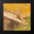 thumbnail image 2 of Aledanda 12x12 Black Modern Framed Museum Art Print Titled - fox Cubs II, 2 of 5