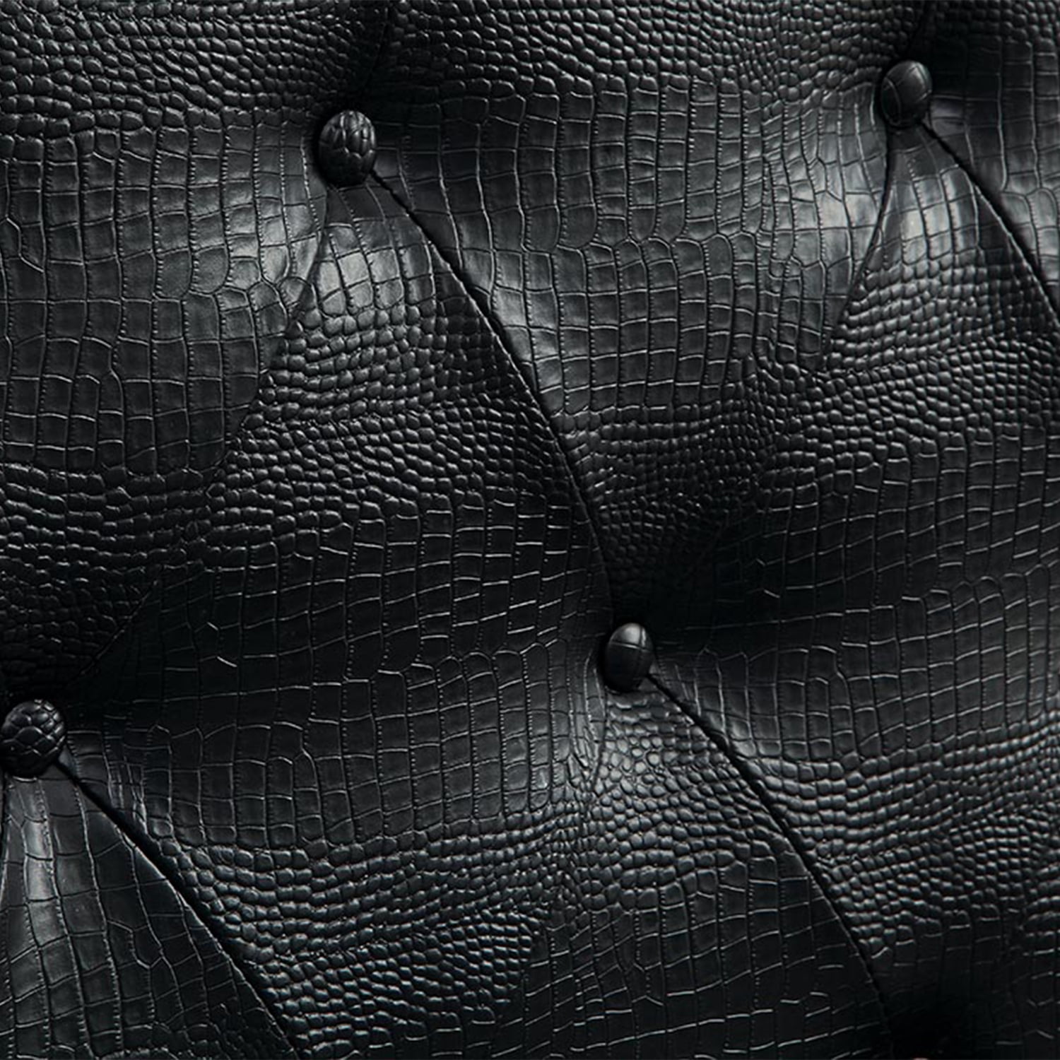 Furniture of America Hennley Crocodile Faux Leather Headboard, Twin, Black