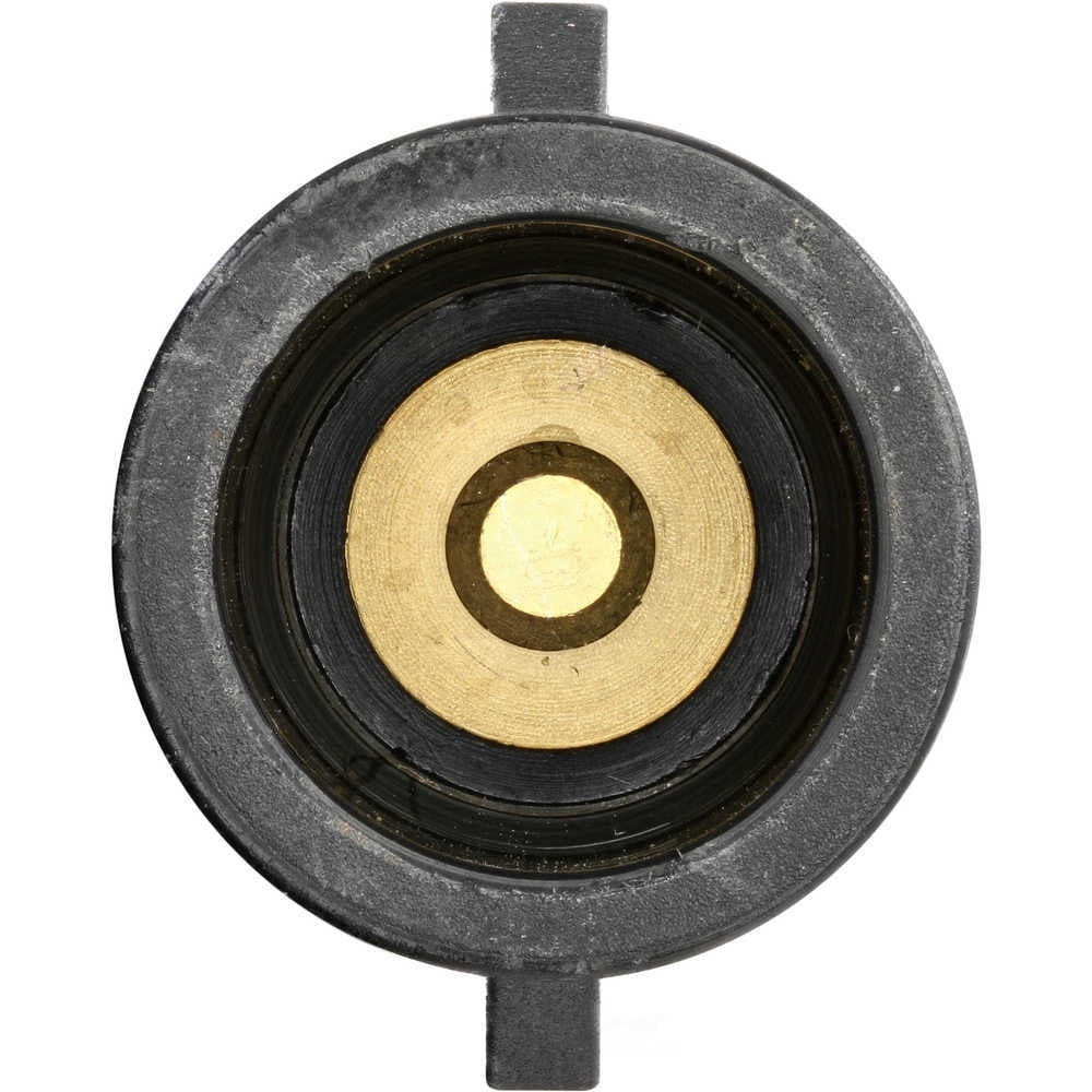 HOLSTEIN 2IGC0109 Ignition Coil