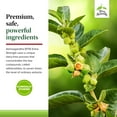 thumbnail image 5 of Terry Naturally Ashwagandha EP35 Extra Strength - 60 Capsules, 5 of 7