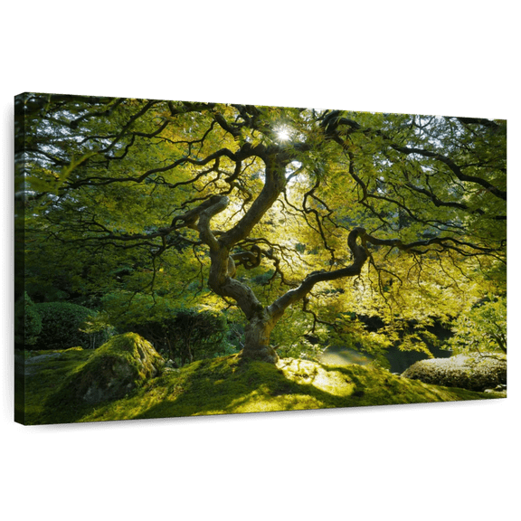 Elephant Stock Japanese Maple Garden Wall Art - Horizontal Canvas Wall Art - Lobby Wall Decor - Floral And Botanical Canvas - Green And Brown Decor - 12" x 8"