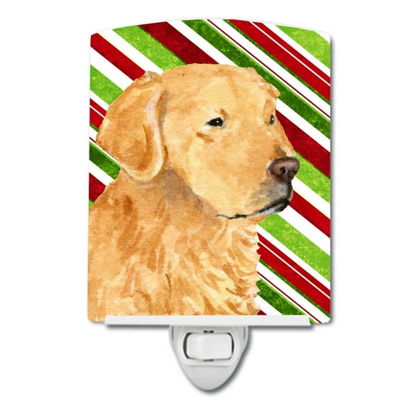 Caroline's Treasures SS4545CNL Golden Retriever Candy Cane Holiday Christmas Ceramic Night Light, 6x4x3", multicolor