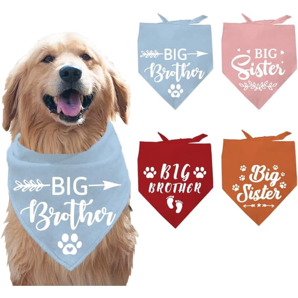 4 pañuelos de poliéster para mascotas con temática de "Hermana Mayor" y tela triangular lavable.
