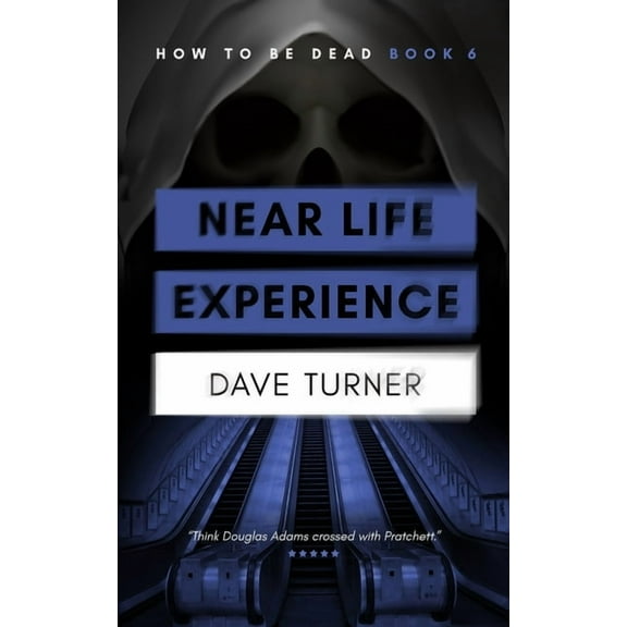 Near Life Experience (Paperback)