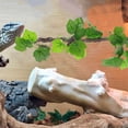 thumbnail image 4 of FOMIYES 2Ud Flexibles Artificiales Para Reptil Con Ventosas De Textura Para De Terrario, 4 of 7