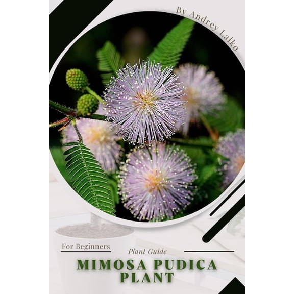 Mimosa pudica plant: Plant Guide (Paperback) by Andrey Lalko