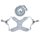 thumbnail image 4 of Juego De Correa De Arnés Para Mascotas, Correa Para El Cuello Del Pecho Para Mascotas Suministros Para Mascotas Arneses De Chaleco Ajustables Suaves Para Entrenamiento ANGGREK Otros, 4 of 8