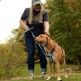 thumbnail image 5 of Life is Good® Canvas Overlay Dog Harness, Blue Good Vibes, 1" x 20"-30" (Medium), 5 of 5