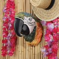 thumbnail image 2 of Paradise Parrot Head Wall Sculpture, 2 of 2