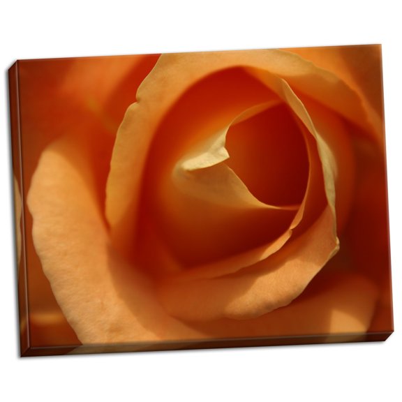 Gango Home Decor Single Rose I by Scott Larson (Ready to Hang); One 28x22in Hand-Stretched Canvas